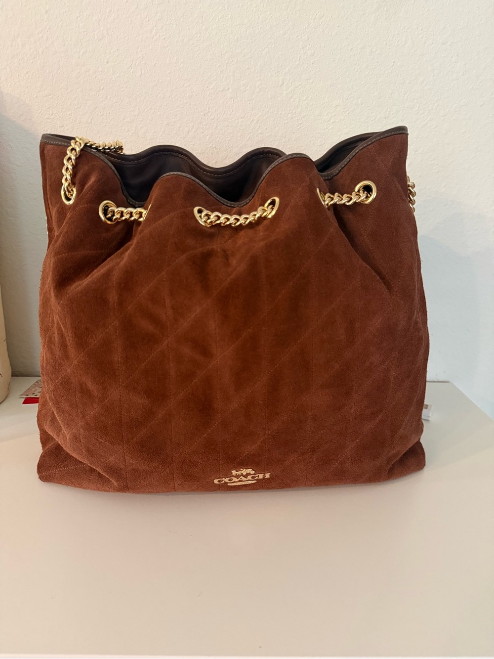 Coach Evelyn Large Suade Bag